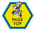 PAGETOP