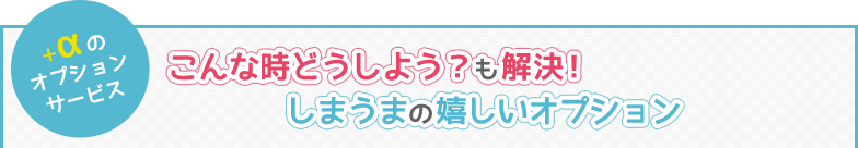 ＋αの オプション サービス こんな時どうしよう？も解決！しまうまの嬉しいオプション