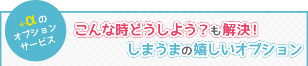 ＋αの オプション サービス こんな時どうしよう？も解決！しまうまの嬉しいオプション